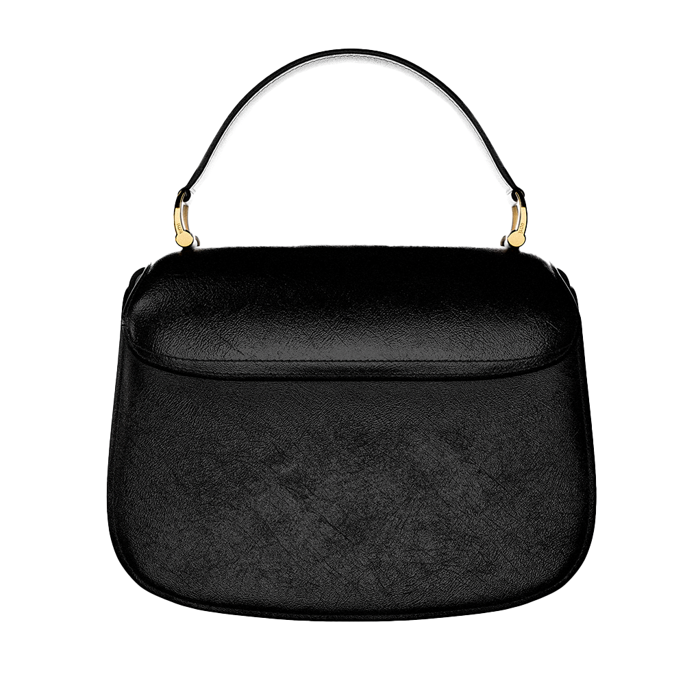 Ami Paris handbag packshot back view