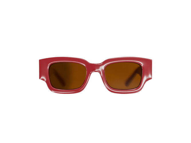 sunglasses ami bordeau